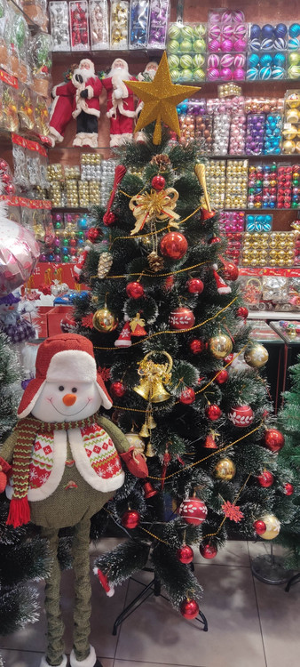 نوک شاخه برفی