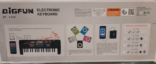 ارگ بیگ فان